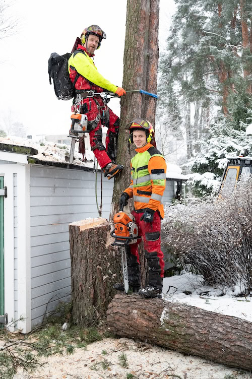 Puunkaato Puunkaatajilta