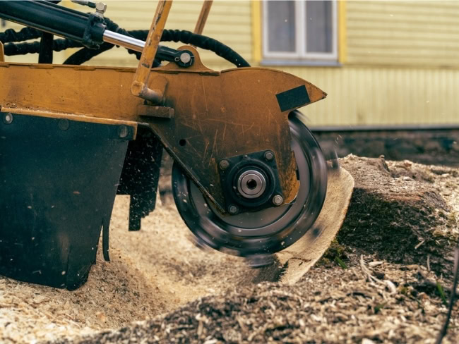 Kantojyrsintä Sipoo. Kannon poisto jyrsimällä.