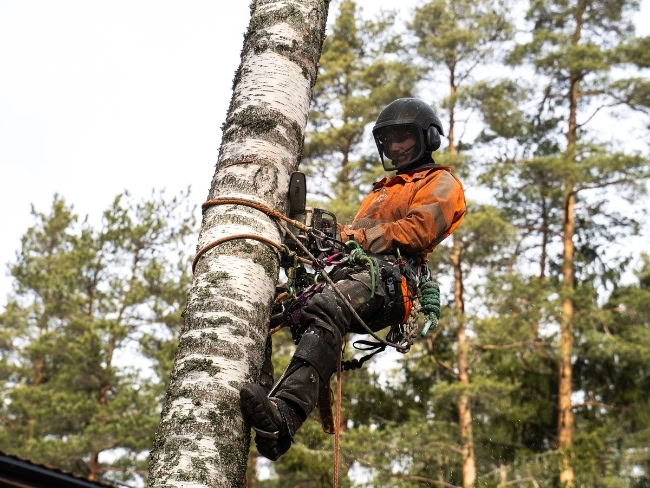 Puunkaato Hyvinkää. Pihapuiden kaataminen eri tyyleillä.