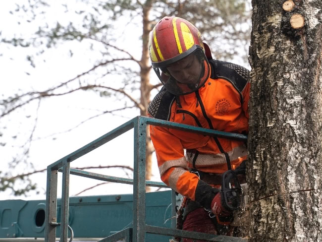 Puunkaato Tuusula ja lähiseudut