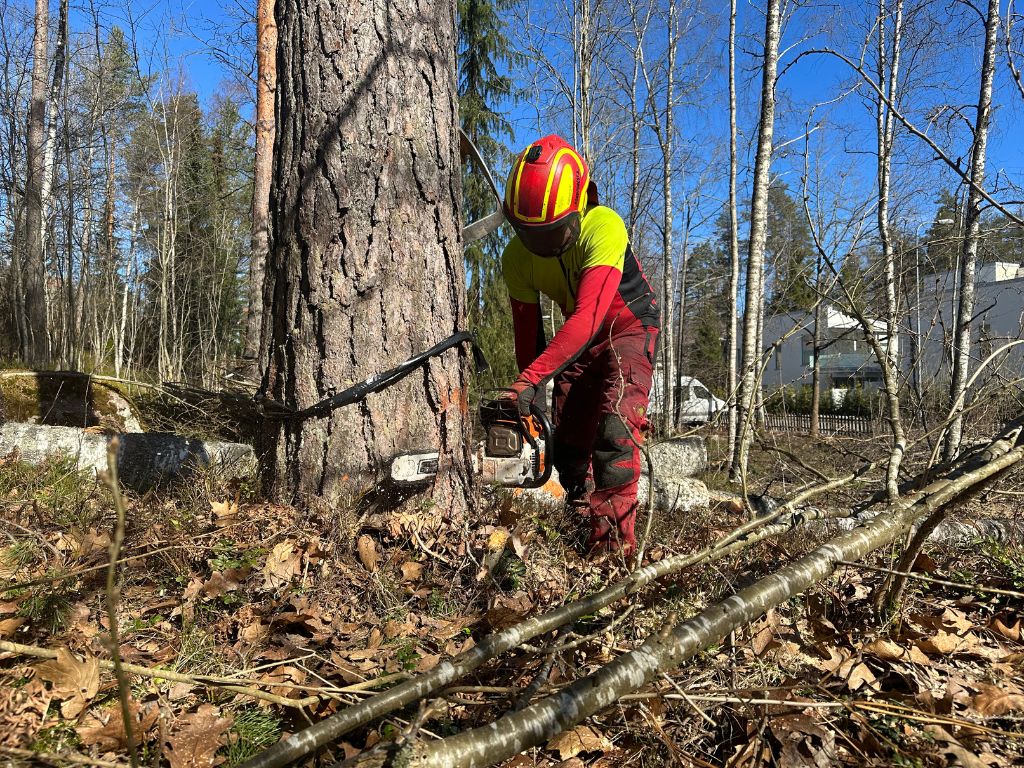 Puunkaato maasta, kiipeilemällä, nosturilla ja motolla