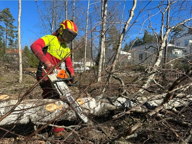Puunkaato ja tontin raivaus Lohja.
