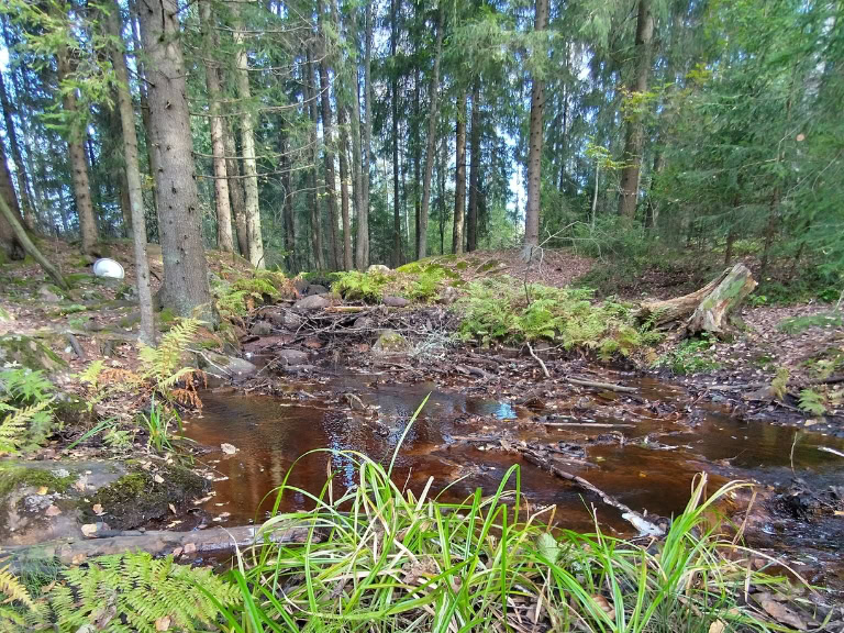 Metsurityöt, kuten taimen istutus, taimikonhoito, varhaisperkaus, metsän istutus, raivaus, nuoren metsän kunnostus, ennallistaminen, taimikon raivaaminen ja muut taimikonhoitotyöt sekä metsän viljely