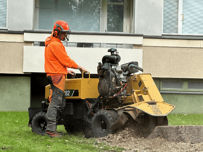 Kannon jyrsiminen eli kantojyrsintä on helppo tapa päästä kannosta eroon.